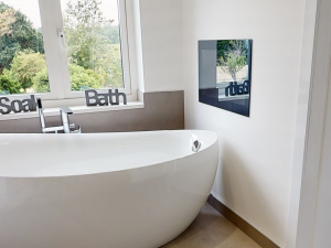 tvs for bathrooms